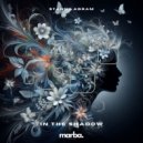 Stanny Abram - In The Shadow (Extended Mix)