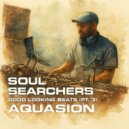 Aquasion - Twilight Fields