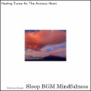 Sleep BGM Mindfulness - Neural Activation for Sleep Induction and Deep Connection (Original Mix)