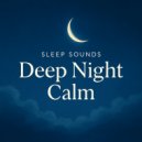 Sleep Sounds - Deep Rest Tones (Original Mix)