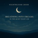 Nightbloom Choir - Resting Beneath Quiet Skies (Original Mix)