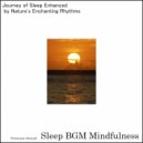 Sleep BGM Mindfulness - Neural Harmony Flowing with Solfeggio Tunes (Original Mix)