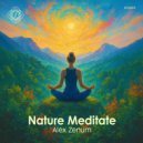 Alex Zenum - Inner Silence (Bird Of Nature Mix)