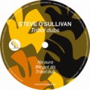 Steve O'Sullivan - We Got Dis
