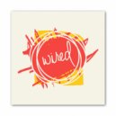 Tayllor - Steel Drum