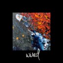 Victor Porfidio & Band&dos - Diana (edit) (Original Mix)