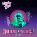 Woody Bianchi & Pietro Nicosia - Holdin On (Original Mix)