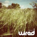 Stavroz - Playground Party