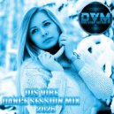 Djs Vibe - Dance Session Mix 2026 ()