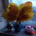 Hum-7 - aerial bodhi ()