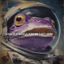 Space Frogs From Saturn - Zero Sum (eBOT vs Fresh Prince Remix)