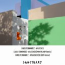 Carol Fernandez - Whatever (Maxim Lany Remix)