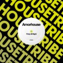 Amorhouse - Party All Night (Original Mix)