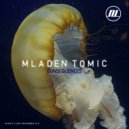 Mladen Tomic - Take It (Original Mix)