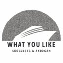 Skogsberg & Akdogan - What You Like (Original Mix)