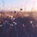 Luis Miehlich - 時雨 (Shigure) (Original Mix)