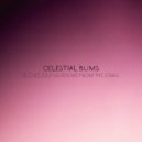 Celestial Bums - A Dream (Guide Me From The Stars) ()