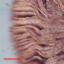 Serti - Tales of the Grey Cocktail (Original Mix)