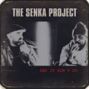 The Senka Project, Dub Phizix, DRS - Say It Ain\'t So (Original Mix)