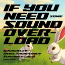 Edivanich - If you need some sound overload (D.Koshelev, D.Zaharenkov, Edivanich) (original track)