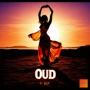 V-Dat - OUD