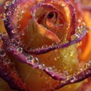 ArtemACID - Midnight Ember