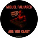 Miguel Palhares - Are You Ready (Original Mix)
