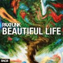 PAXFUNK - Beautiful Life (Extended Mix)