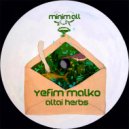Yefim Malko - Altai Herbs (Outterspace1 Remix)
