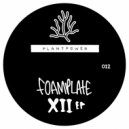 Foamplate - Quake Steppa