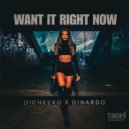 DINARDO & DICHEEKO - Want It Right Now (Original Mix)