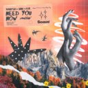 Braaten & JANU & RÆ - Need You Now ()