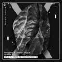 Rodgers & Jason Cogua - Shake It (Extended Mix)