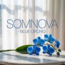 Somnova - Riding the Wave (Original Mix)