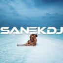 #SANEKDJ - #DЕКАБРЬ20.12.2025 ()