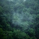 Cold Water - From Japan ()