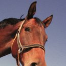 SZACK - BACK TO LIFE ()