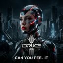 Druce - Can You Feel It