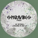 Saf Mitchell - Echilibru In Haos (Original Mix)