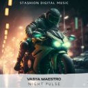 Vasya Maestro - Night Pulse ()