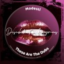 Drop Out Orchestra - Tunga Stenar (Modesti Remix)