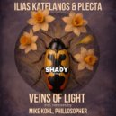 Ilias Katelanos, Plecta - Veins Of Light (Mike Kohl Remix)