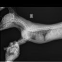 Cyclone Me - Haunting Twilight ()