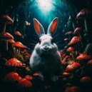 Anitek - Transit Line