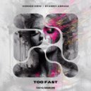 Hidden View, Stanny Abram - Too Fast (Original Mix)