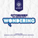 Citysounds! feat. Natasha Watts - Wondering (2 Deep & Soul Remix)