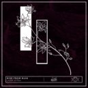 Lazer Kitten - Rise From Ruin ()