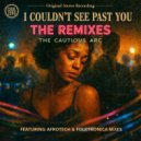 The Cautious Arc - I COULDN\'T SEE PAST YOU (Idyll Folktronica Mix)