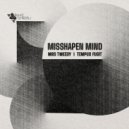 Misshapen Mind - Tempus Fugit (Original Mix)