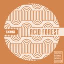 Skaki - Acid Forest (Original Mix)